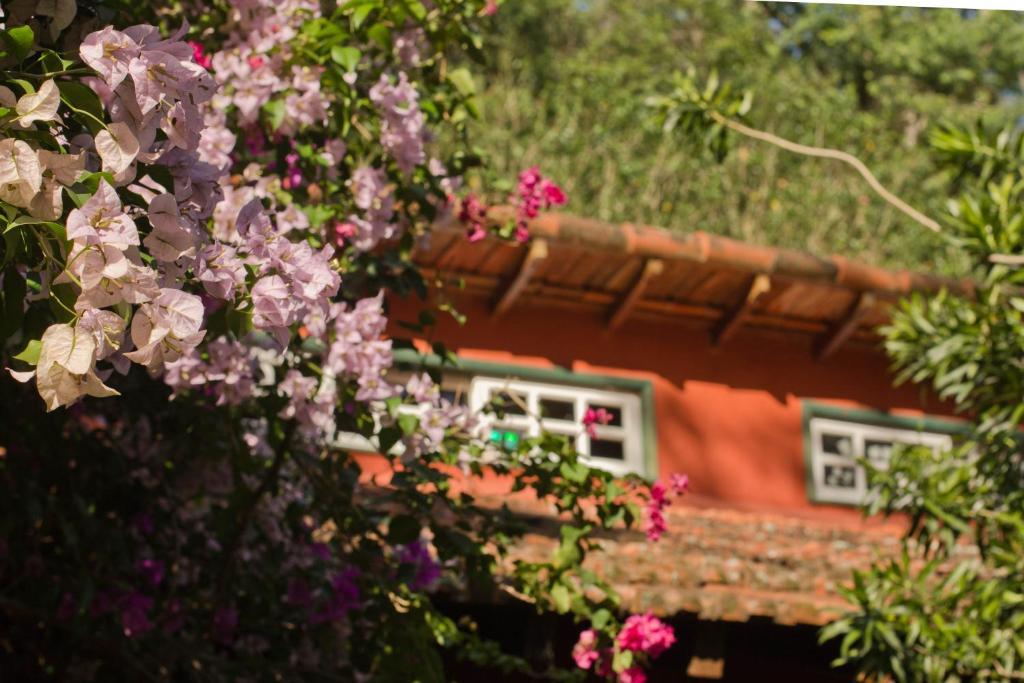 Pousada Paraiso Posse  Ngoại thất bức ảnh